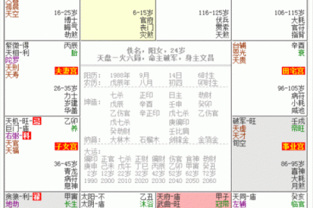 紫微斗数盘里紫薇