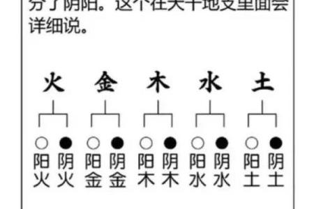 八字喜五行