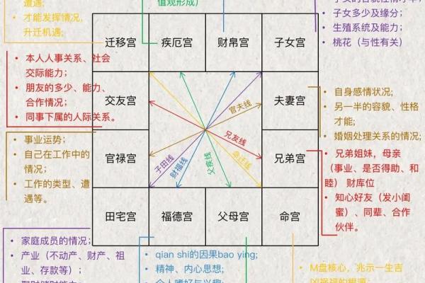 科紫薇斗数