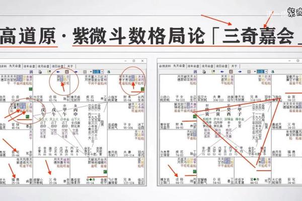 三台紫薇斗数