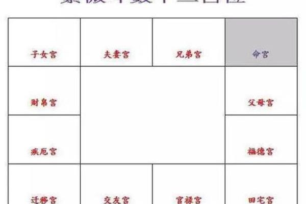 流年紫薇斗数怀孕