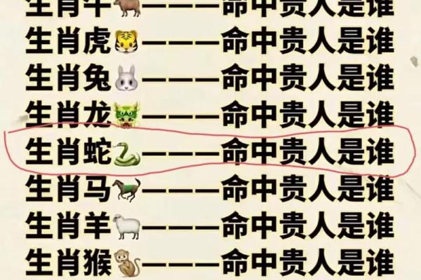 八字看哪些人是大富命，有你吗
