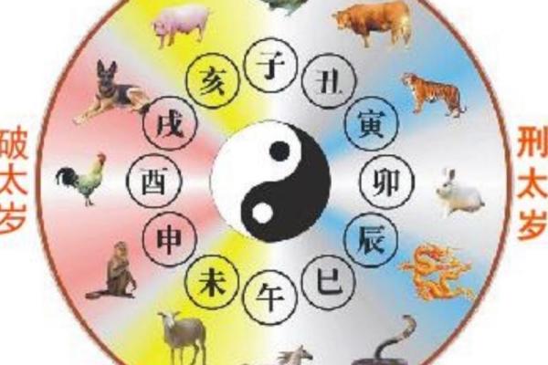 紫薇斗数太岁宫位
