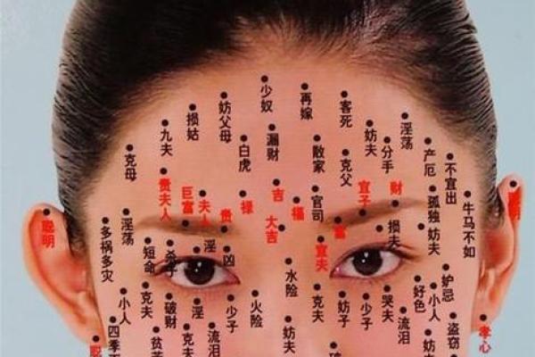 胸部痣相图解算命