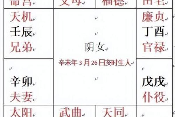 紫薇斗数排盘免费测试