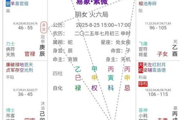紫微斗数命宫在寅紫薇天府