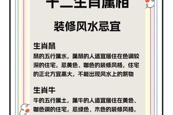 风水上哪几个生肖的人不能养猫禁忌
