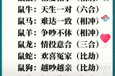 狗年起名生辰八字