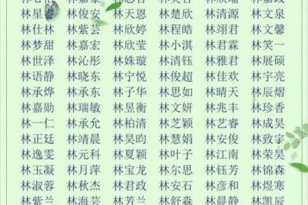 八字喜金水的男孩名字