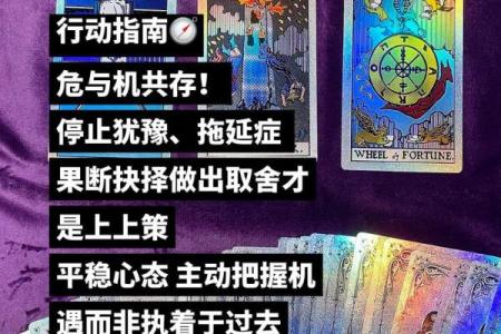 塔罗测试：十一月学习运？