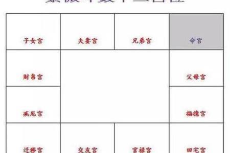 流年紫薇斗数怀孕