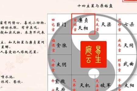 天相和紫薇在疾厄宫