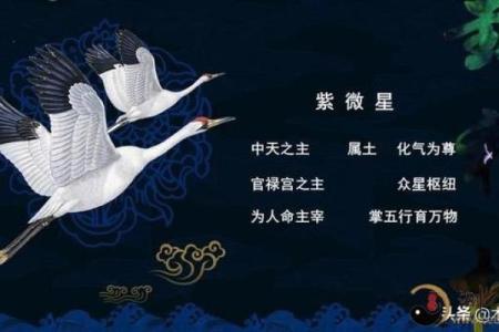 朱元璋紫薇斗数