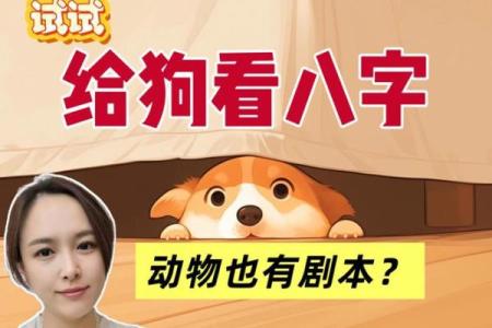 八字合狗是