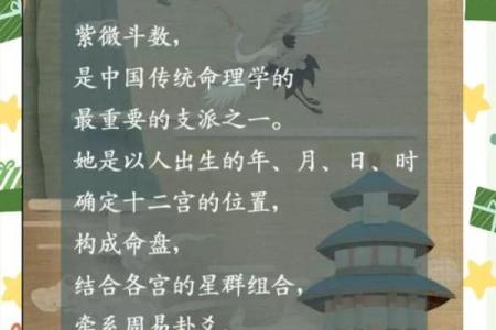 紫薇斗数：揭开命运之谜的古老智慧