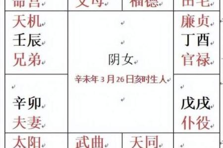 紫薇斗数排盘免费测试