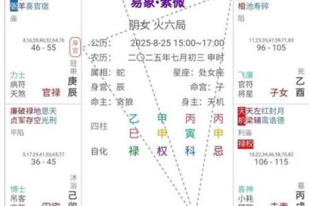 紫微斗数命宫在寅紫薇天府