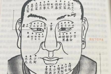 脸上长痣风水 脸上长痣风水学
