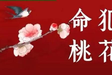 八字中有哪些的桃花魅力最大呢