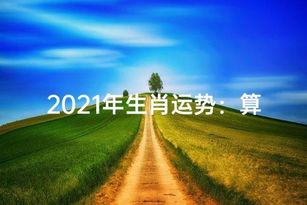十二生肖今日运势查询算命先生