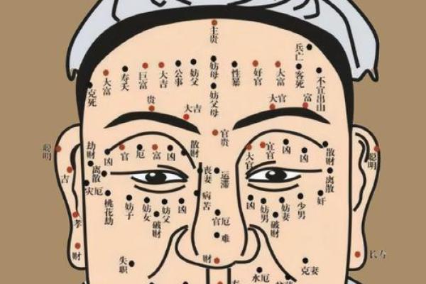 颧骨面相算命