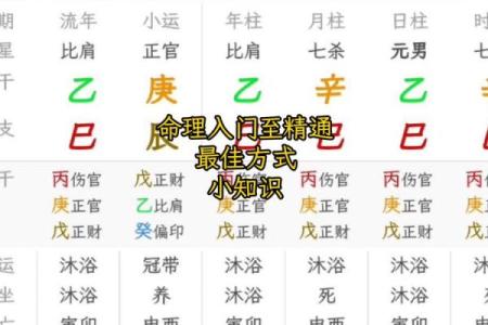 学八字算命如何入手