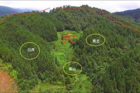 房子上能画条蛇吗风水