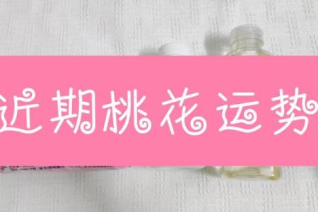 塔罗牌测试你今年的桃花期在几月？