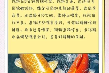 养风水锦数量