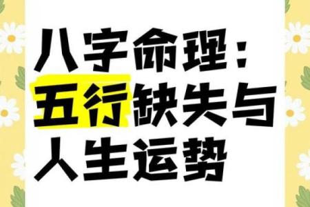 【木四中心】-八字命理解析与五行缘份解析