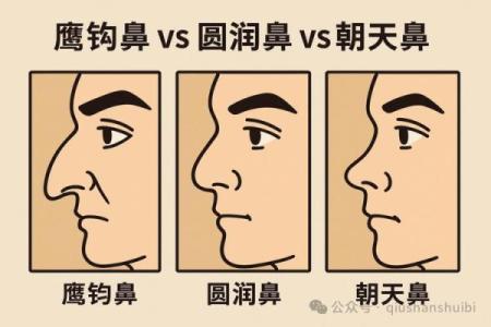 面相风水鹰钩鼻女人的好处和缺点