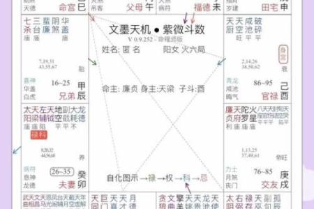 紫微斗数之：如何看学业和考试？