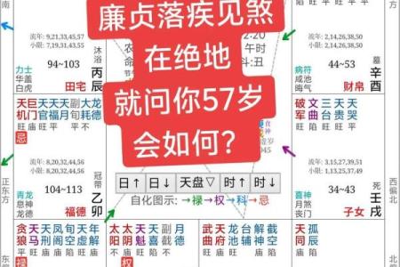 紫薇斗数命宫吉