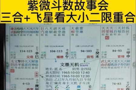 紫薇斗数应用