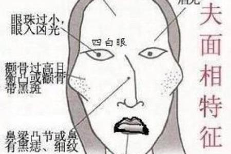 颧骨面相算命