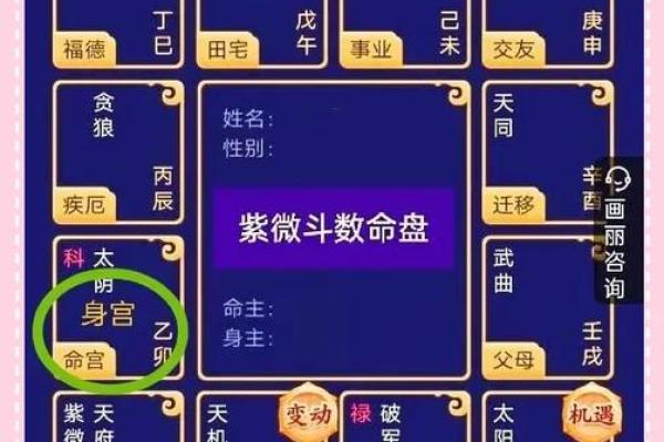 紫薇斗数一岁在哪里