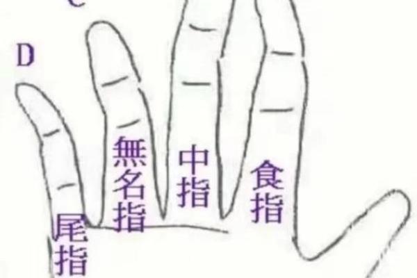 小指算命，小指的长度看你的性格和命运