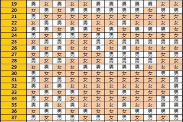 生男孩八字