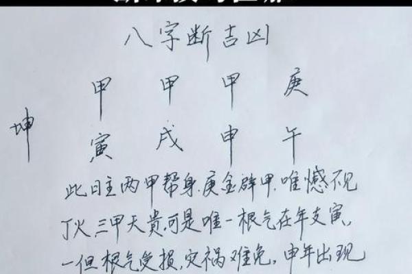 不老的八字