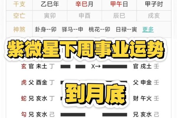 紫薇斗数今日运势