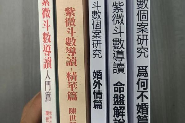 紫薇斗数全书简体