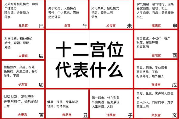 紫薇斗数每个格子什么内容