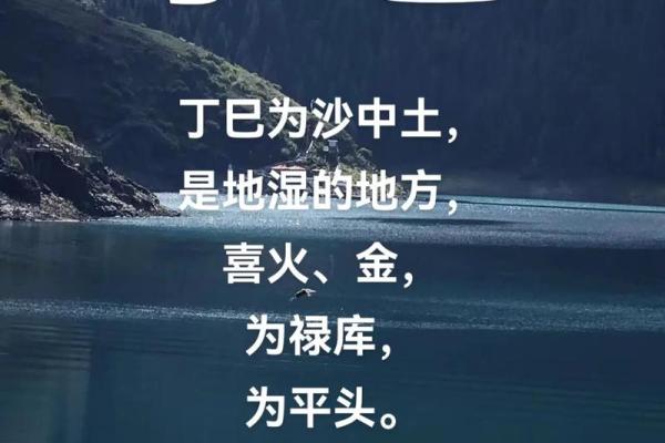 八字丁巳日