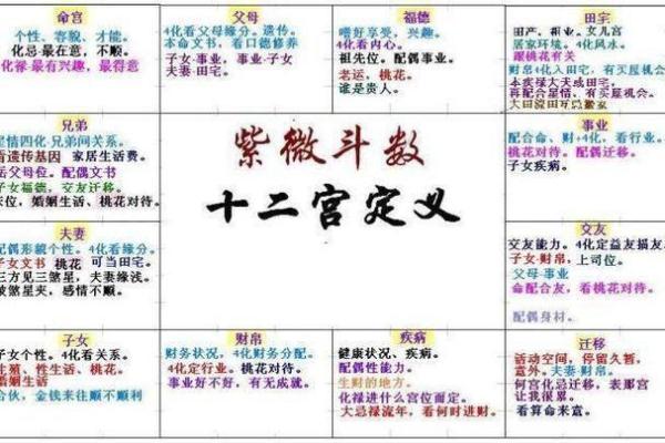 紫薇斗数出国