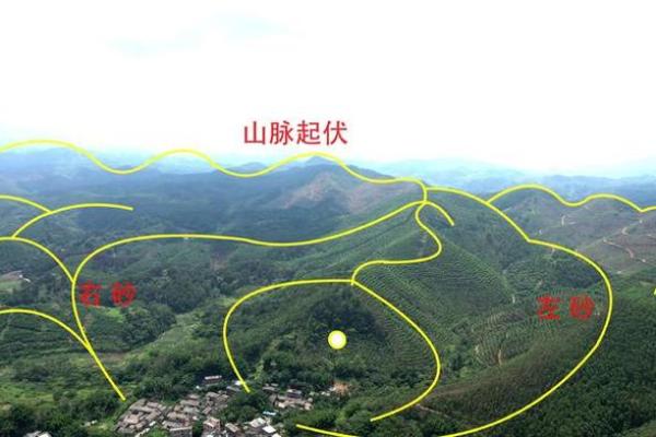 算命是看阳宅还是阴宅准
