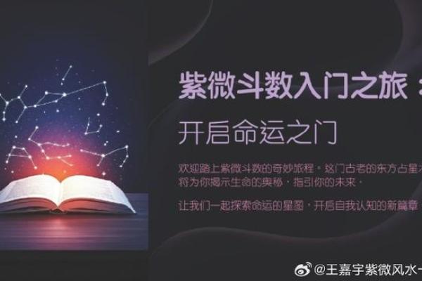 唐艺尹老师紫薇斗数算田宅宫：廉贞星坐守十二宫位置分析田产运