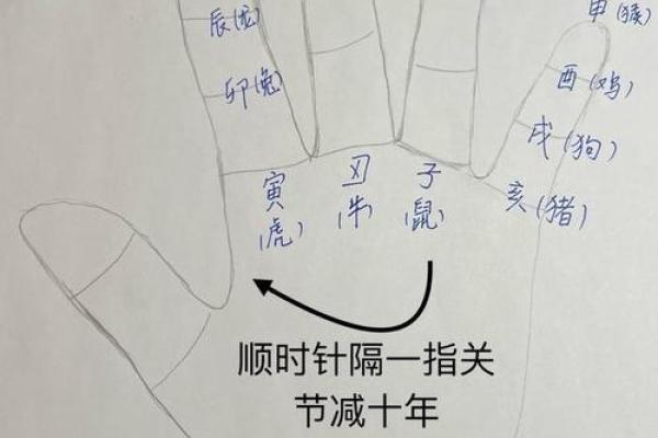 手指算命,手指掐算算命图解