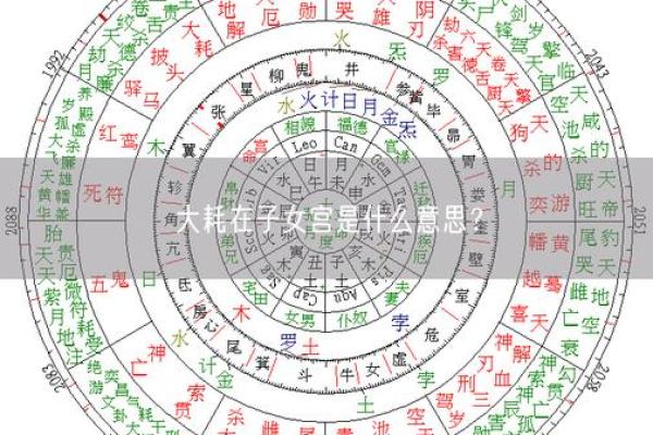 紫薇斗数中大耗是什么意思