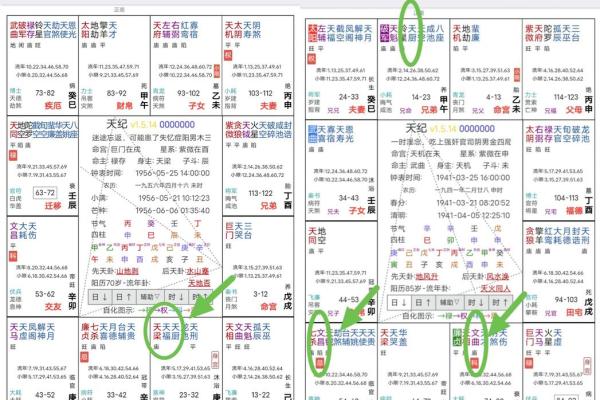 紫微斗数诸星落命宫之:天空、地劫详解 紫微斗数诸星落命宫之:天空、地劫详解