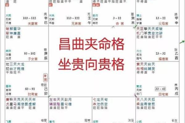 紫薇斗数富翁格局